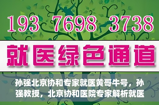孙强北京协和专家就医黄哥牛号，孙强教授，北京协和医院专家解析就医新号黄哥牛号