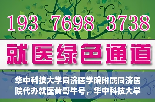 华中科技大学同济医学院附属同济医院代办就医黄哥牛号，华中科技大学同济医院就医黄哥牛号代办服务解析