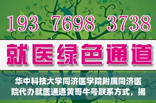 华中科技大学同济医学院附属同济医院代办就医通道黄哥牛号联系方式，揭秘黄哥牛号，同济医院就医通道代办联系方式与操作指南