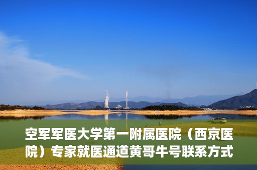 空军军医大学第一附属医院（西京医院）专家就医通道黄哥牛号联系方式，空军军医大学第一附属医院专家就医绿色通道与黄哥牛号联系方式揭秘