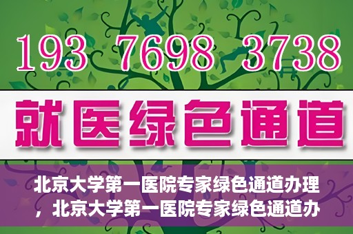 北京大学第一医院专家绿色通道办理，北京大学第一医院专家绿色通道办理详解，一站式解决就医难题