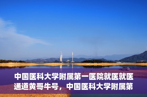 中国医科大学附属第一医院就医就医通道黄哥牛号，中国医科大学附属第一医院就医通道详解，黄哥牛号引领就医新体验