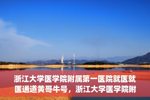 浙江大学医学院附属第一医院就医就医通道黄哥牛号，浙江大学医学院附属第一医院就医通道，黄哥牛号助您轻松挂号就医