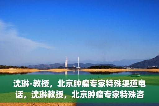 沈琳-教授，北京肿瘤专家特殊渠道电话，沈琳教授，北京肿瘤专家特殊咨询热线