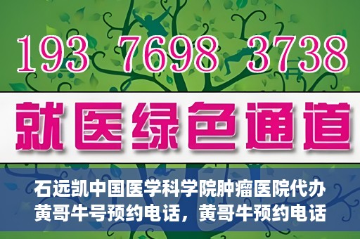 石远凯中国医学科学院肿瘤医院代办黄哥牛号预约电话，黄哥牛预约电话助您轻松预约石远凯教授——中国医学科学院肿瘤医院就医服务