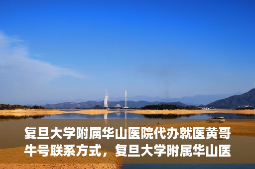 复旦大学附属华山医院代办就医黄哥牛号联系方式，复旦大学附属华山医院就医黄哥牛号联系方式及代办服务详解