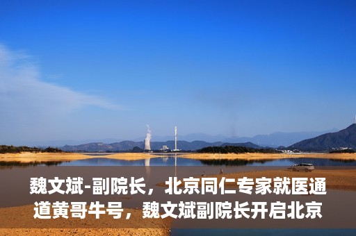 魏文斌-副院长，北京同仁专家就医通道黄哥牛号，魏文斌副院长开启北京同仁专家就医新通道，黄哥牛号引领就医新风尚
