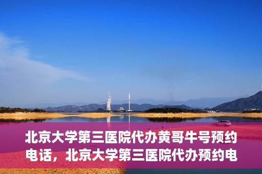 北京大学第三医院代办黄哥牛号预约电话，北京大学第三医院代办预约电话，黄哥牛号预约服务解析与指南