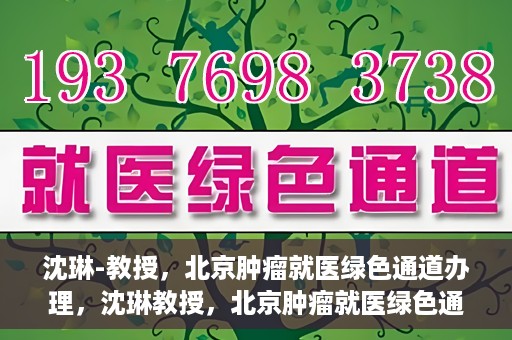 沈琳-教授，北京肿瘤就医绿色通道办理，沈琳教授，北京肿瘤就医绿色通道详解及办理指南
