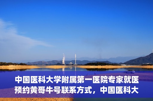 中国医科大学附属第一医院专家就医预约黄哥牛号联系方式，中国医科大学附属第一医院专家就医预约联系方式揭秘，黄哥牛号助您轻松挂号就医