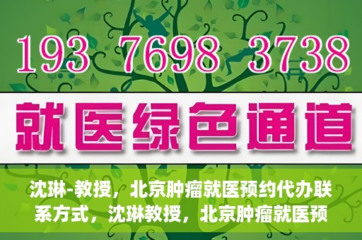 沈琳-教授，北京肿瘤就医预约代办联系方式，沈琳教授，北京肿瘤就医预约代办的权威联系方式揭秘