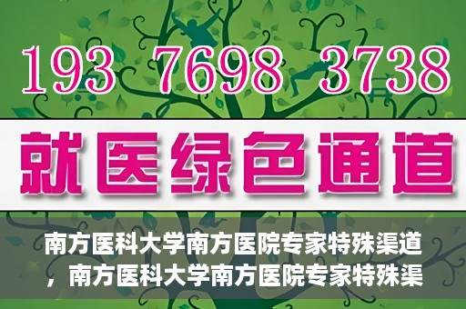 南方医科大学南方医院专家特殊渠道，南方医科大学南方医院专家特殊渠道解析，专业服务的背后故事