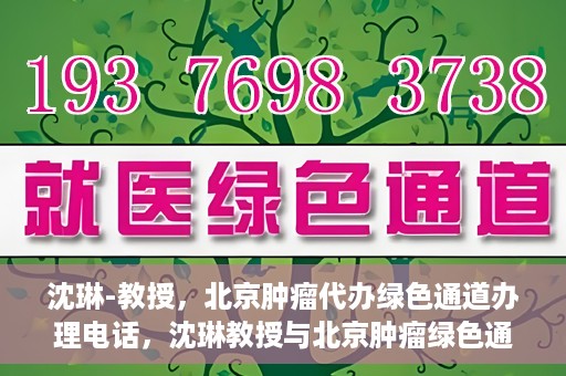 沈琳-教授，北京肿瘤代办绿色通道办理电话，沈琳教授与北京肿瘤绿色通道，快速办理电话指南