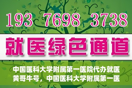 中国医科大学附属第一医院代办就医黄哥牛号，中国医科大学附属第一医院就医代办黄哥牛号服务解析