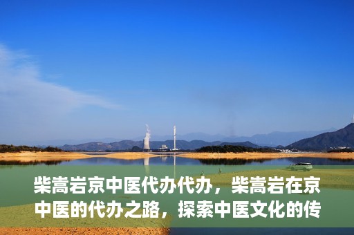 柴嵩岩京中医代办代办，柴嵩岩在京中医的代办之路，探索中医文化的传承与创新