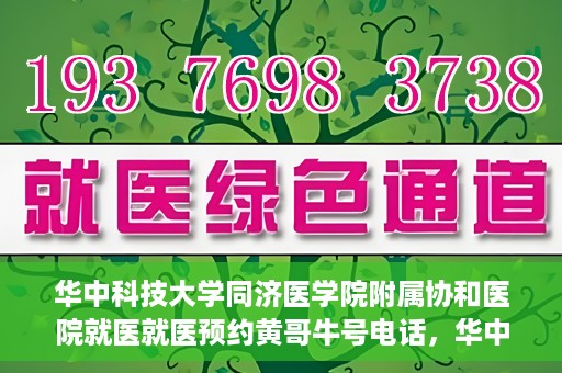 华中科技大学同济医学院附属协和医院就医就医预约黄哥牛号电话，华中科技大学同济医学院附属协和医院预约挂号指南，黄哥牛号电话就医新体验