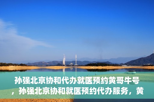 孙强北京协和代办就医预约黄哥牛号，孙强北京协和就医预约代办服务，黄哥牛号助您轻松挂号就医