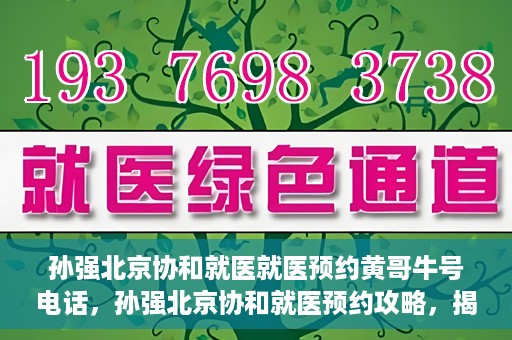 孙强北京协和就医就医预约黄哥牛号电话，孙强北京协和就医预约攻略，揭秘黄哥牛号预约电话