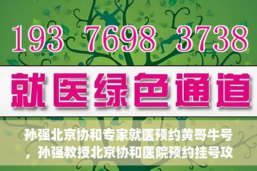 孙强北京协和专家就医预约黄哥牛号，孙强教授北京协和医院预约挂号攻略，黄哥牛号助您轻松就医