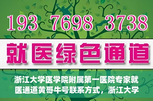 浙江大学医学院附属第一医院专家就医通道黄哥牛号联系方式，浙江大学医学院附属第一医院专家就医通道，黄哥牛号联系方式全解析