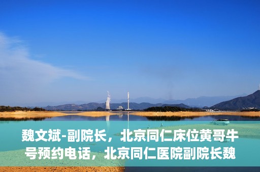 魏文斌-副院长，北京同仁床位黄哥牛号预约电话，北京同仁医院副院长魏文斌，床位预约热线与黄哥牛号的故事
