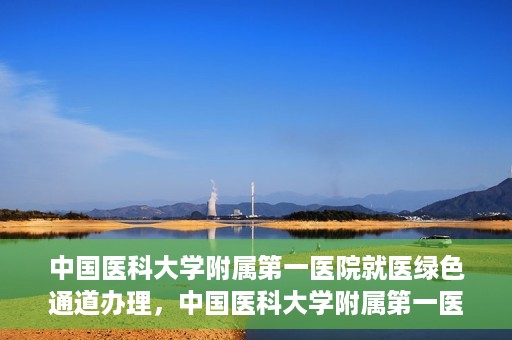 中国医科大学附属第一医院就医绿色通道办理，中国医科大学附属第一医院就医绿色通道办理详解，快速便捷就医体验新篇章