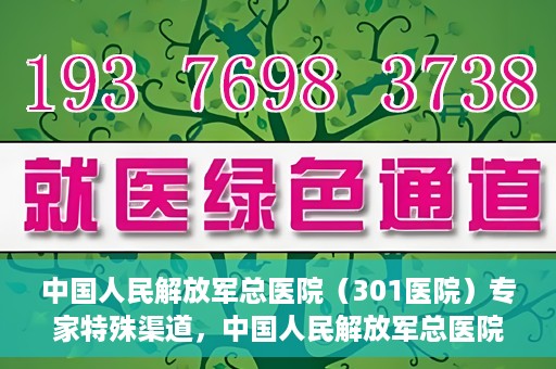 中国人民解放军总医院（301医院）专家特殊渠道，中国人民解放军总医院（301医院）专家特殊渠道揭秘，权威医疗资源的独特对接方式