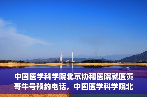 中国医学科学院北京协和医院就医黄哥牛号预约电话，中国医学科学院北京协和医院就医黄哥牛号预约电话详解及指南