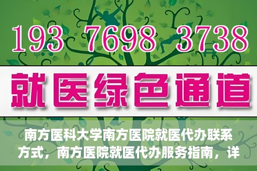 南方医科大学南方医院就医代办联系方式，南方医院就医代办服务指南，详细联系方式解析