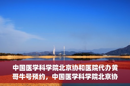 中国医学科学院北京协和医院代办黄哥牛号预约，中国医学科学院北京协和医院黄哥预约挂号代办服务解析