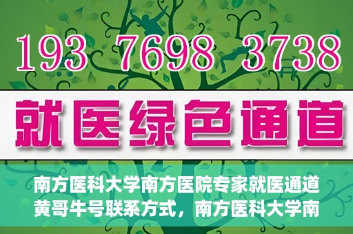 南方医科大学南方医院专家就医通道黄哥牛号联系方式，南方医科大学南方医院专家就医通道，黄哥牛号联系方式全解析