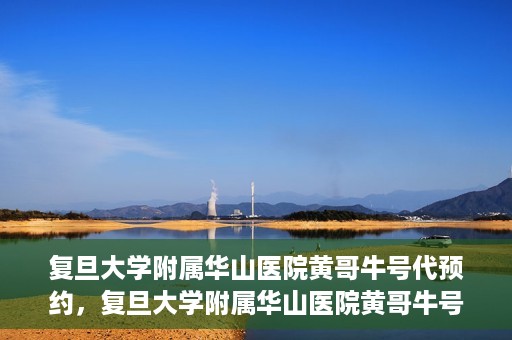 复旦大学附属华山医院黄哥牛号代预约，复旦大学附属华山医院黄哥牛号预约服务解析