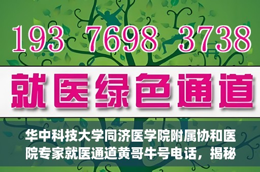 华中科技大学同济医学院附属协和医院专家就医通道黄哥牛号电话，揭秘华中科技大学同济医学院附属协和医院专家就医通道，黄哥牛号电话专线开通