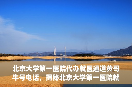 北京大学第一医院代办就医通道黄哥牛号电话，揭秘北京大学第一医院就医通道代办人黄哥牛号背后的故事与真相