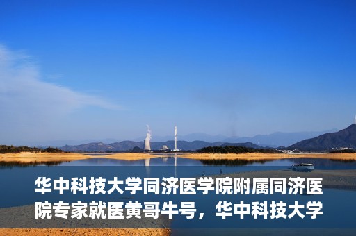 华中科技大学同济医学院附属同济医院专家就医黄哥牛号，华中科技大学同济医院专家解析黄哥牛号背后的医疗奥秘