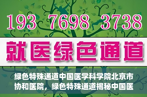 绿色特殊通道中国医学科学院北京市协和医院，绿色特殊通道揭秘中国医学科学院北京市协和医院的力量与担当