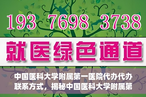中国医科大学附属第一医院代办代办联系方式，揭秘中国医科大学附属第一医院代办联系方式，权威医疗服务的便捷通道