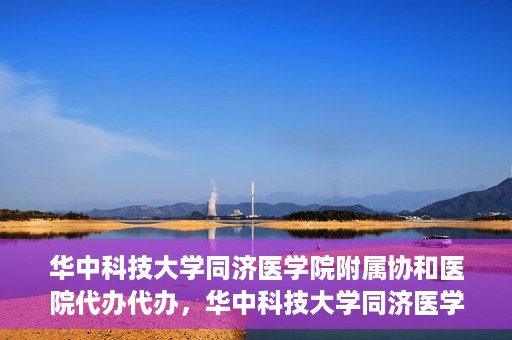 华中科技大学同济医学院附属协和医院代办代办，华中科技大学同济医学院附属协和医院代办事务解析