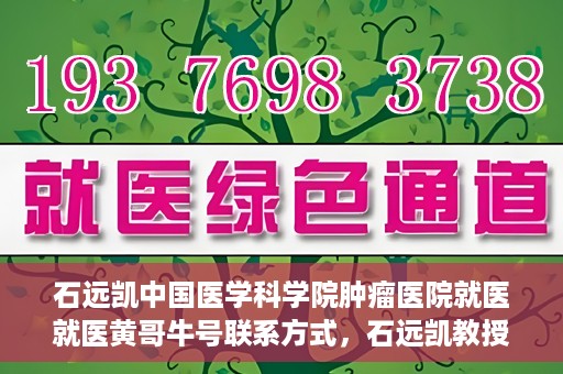 石远凯中国医学科学院肿瘤医院就医就医黄哥牛号联系方式，石远凯教授团队就医攻略，黄哥牛联系方式揭秘及中国医学科学院肿瘤医院就医指南