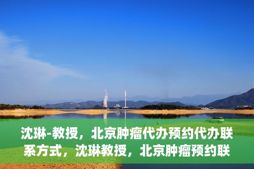 沈琳-教授，北京肿瘤代办预约代办联系方式，沈琳教授，北京肿瘤预约联系方式及代办服务解析