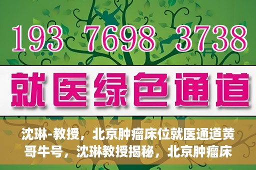 沈琳-教授，北京肿瘤床位就医通道黄哥牛号，沈琳教授揭秘，北京肿瘤床位就医通道黄哥牛号