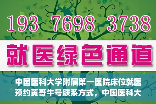 中国医科大学附属第一医院床位就医预约黄哥牛号联系方式，中国医科大学附属第一医院床位预约联系方式揭秘，黄哥牛号就医指南