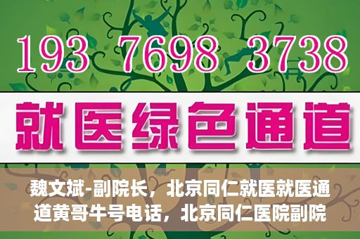 魏文斌-副院长，北京同仁就医就医通道黄哥牛号电话，北京同仁医院副院长魏文斌，就医通道揭秘与黄哥牛号电话解读