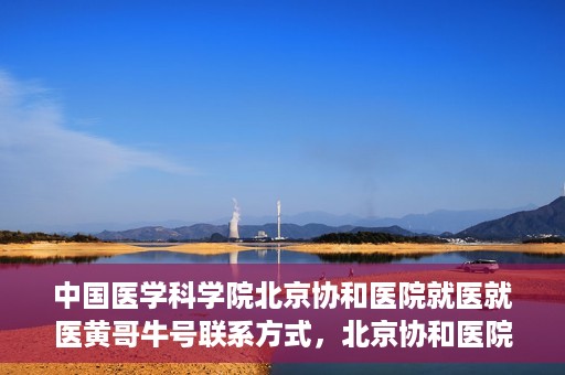 中国医学科学院北京协和医院就医就医黄哥牛号联系方式，北京协和医院就医攻略，黄哥牛号联系方式揭秘！