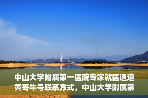 中山大学附属第一医院专家就医通道黄哥牛号联系方式，中山大学附属第一医院专家就医通道，黄哥牛号联系方式全解析