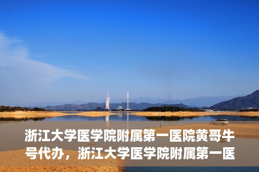 浙江大学医学院附属第一医院黄哥牛号代办，浙江大学医学院附属第一医院黄哥牛号业务代办全攻略