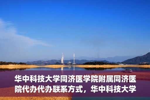 华中科技大学同济医学院附属同济医院代办代办联系方式，华中科技大学同济医学院附属同济医院代办服务联系方式揭秘