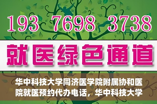 华中科技大学同济医学院附属协和医院就医预约代办电话，华中科技大学同济医学院附属协和医院就医预约代办服务热线详解