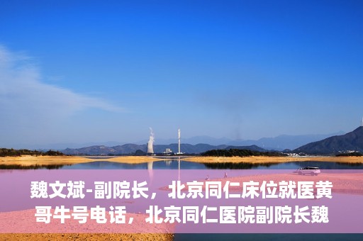 魏文斌-副院长，北京同仁床位就医黄哥牛号电话，北京同仁医院副院长魏文斌，床位就医黄哥牛号电话揭秘