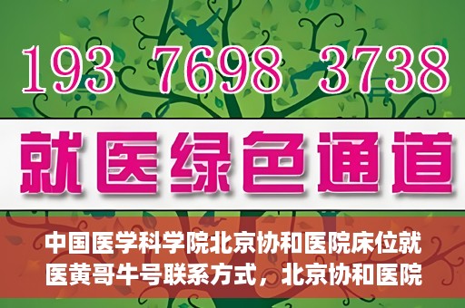 中国医学科学院北京协和医院床位就医黄哥牛号联系方式，北京协和医院床位就医攻略，黄哥牛号联系方式揭秘